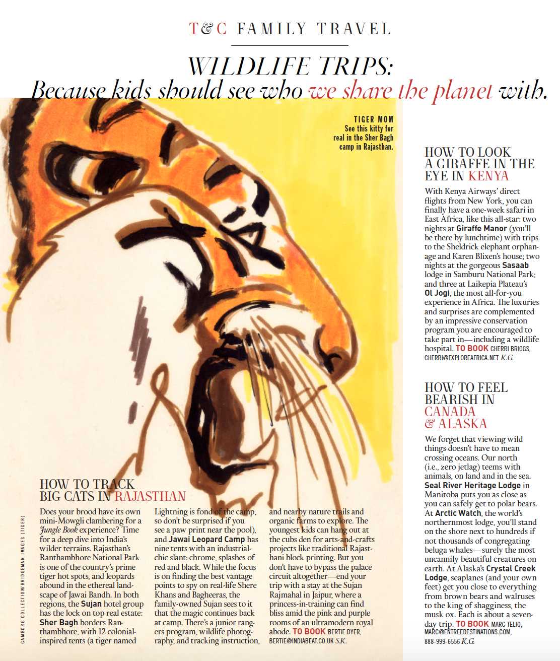 Town & Country: How to Track Big Cats in Rajasthan