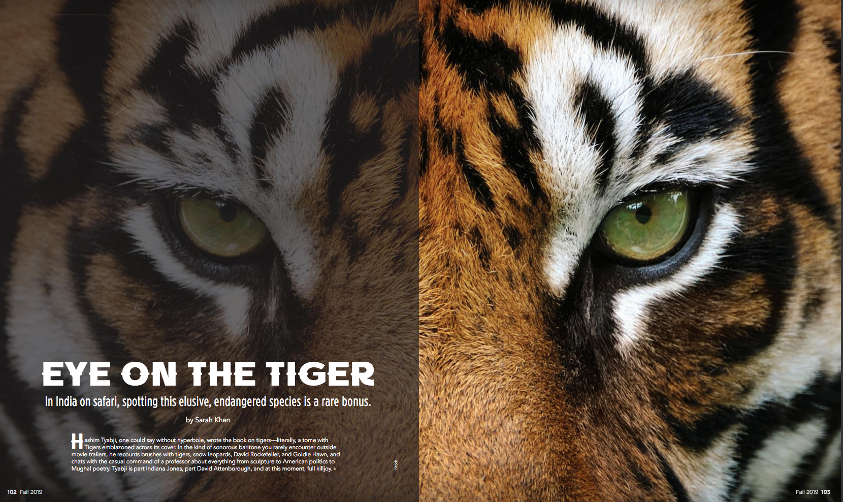 Luxury Magazine: Eye on the Tiger